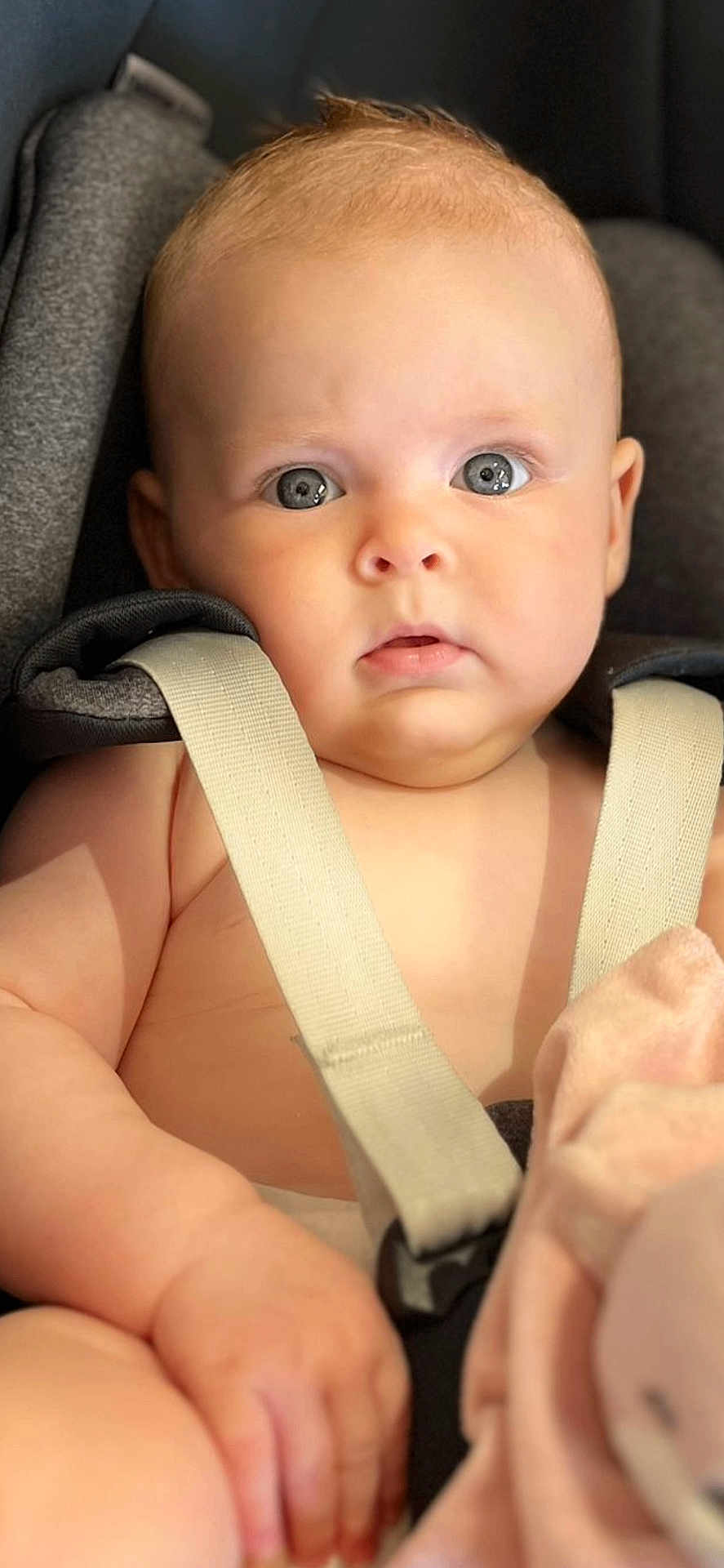 Jade participe au concours pour gagner de l'argent avec cette photo : baby, child, car_seat, seatbelt, infant, face, skin, hand, plush_toy, soft_lighting, curious, blue_eyes, closeup, indoors, safety, expression, young, cute, portrait, baby_fashion