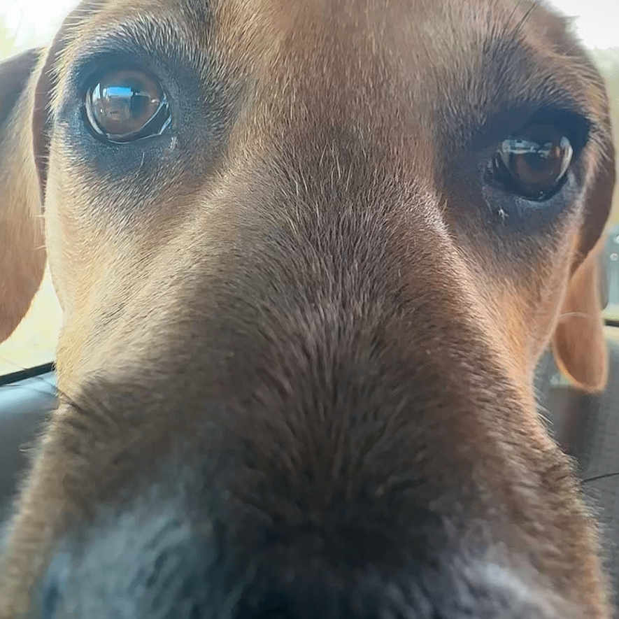 Winston