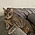 Titou
