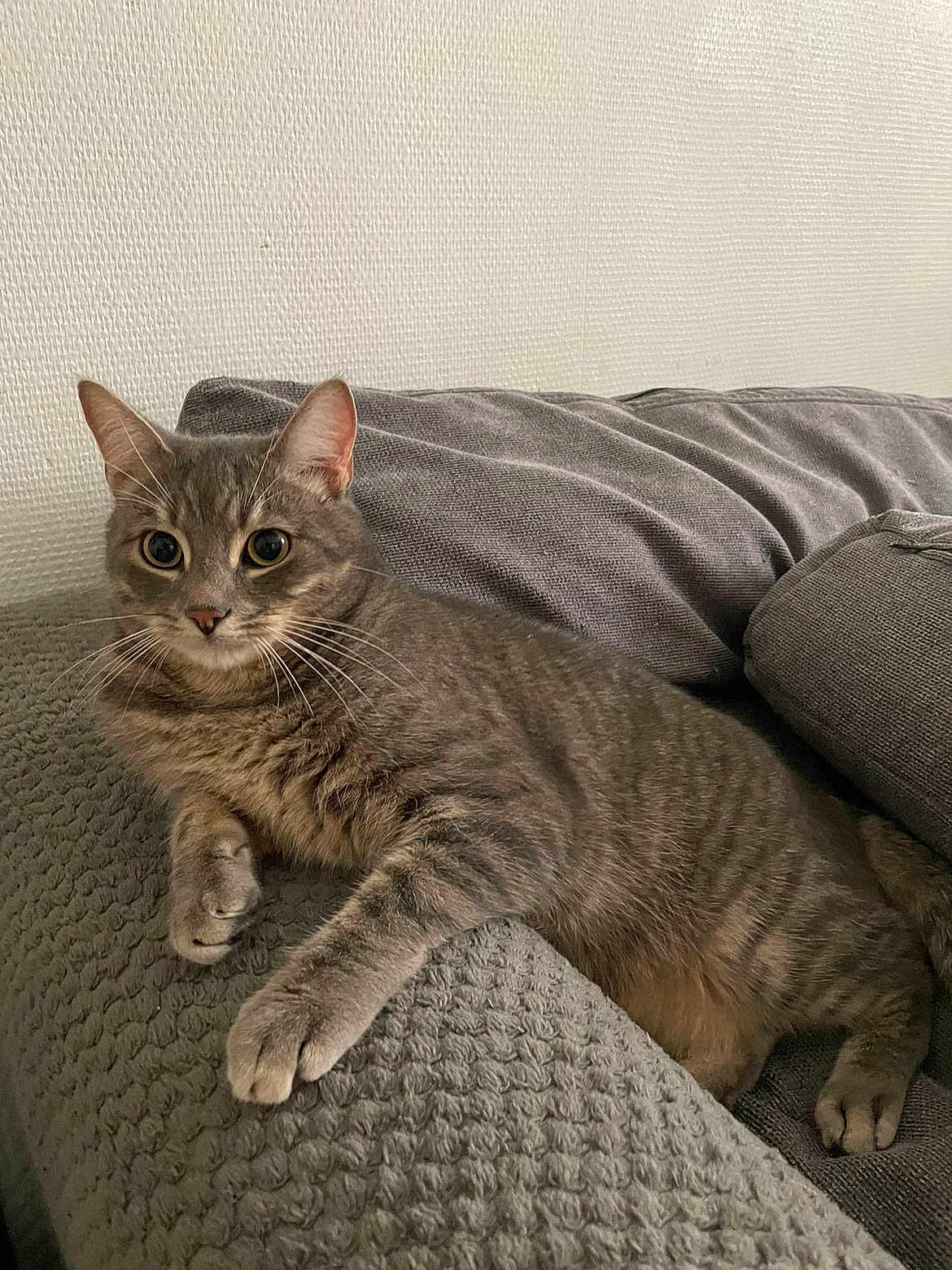 Titou