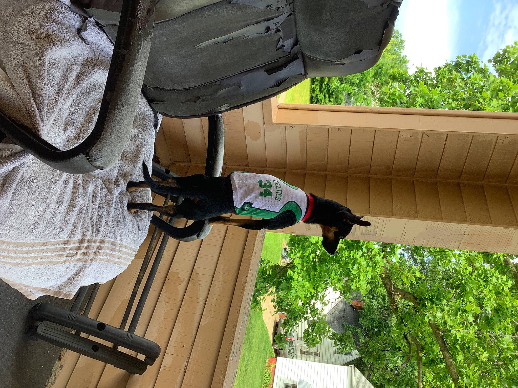 Ebony joined the competition — help win amazing prizes! elbow, hat, outdoor_shoe, plant, shade, siding, sky, tree, walking_shoe, wood