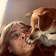 Sadee joined the competition — help win amazing prizes! affection, animal, bond, closeup, collar, dog, expression, face, hair, human, indoor, interaction, light, love, paw, pet, relaxation, touch, window, woman