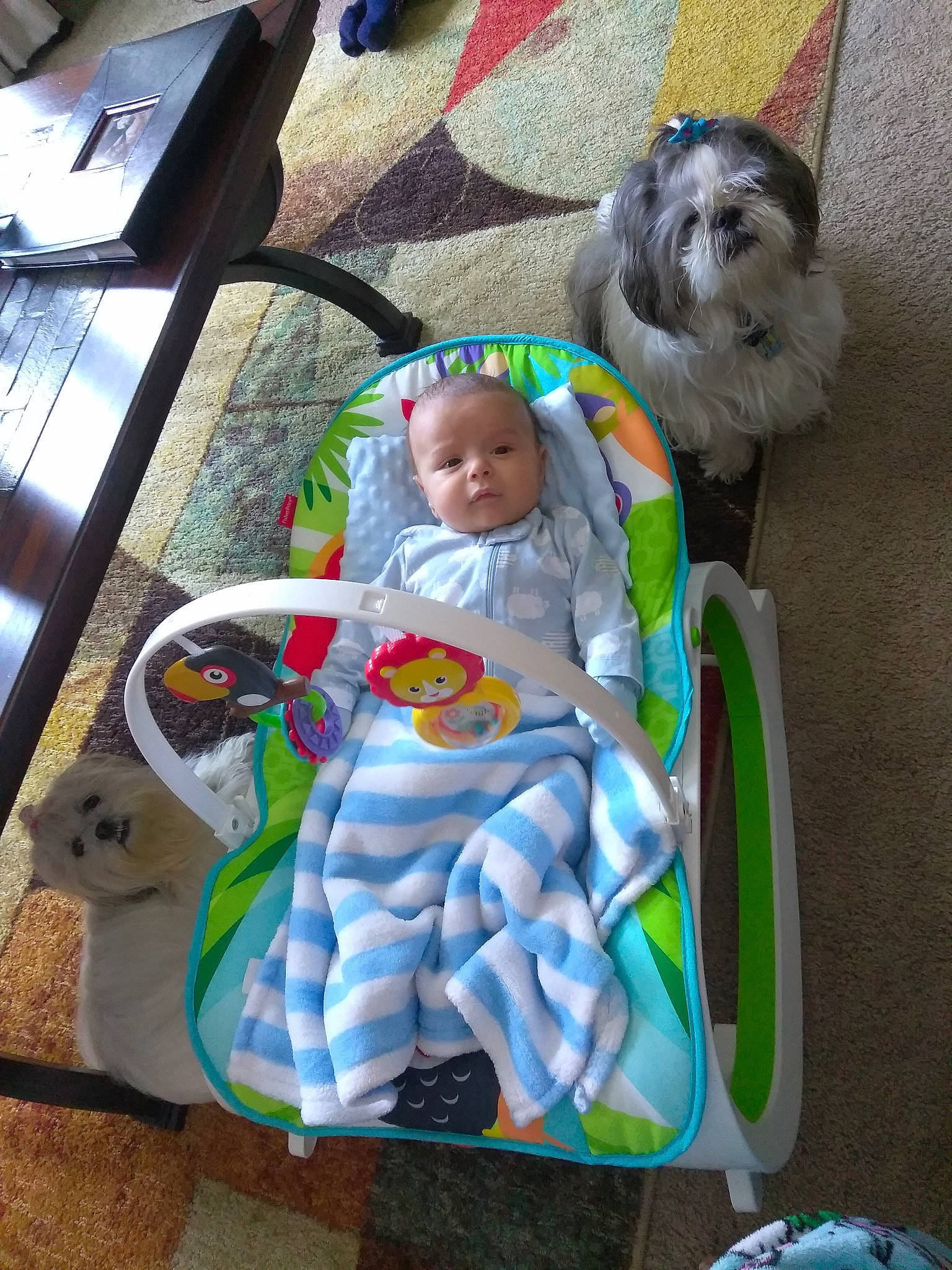 Douglas is registered to the contest to win money with this photo: child, fun, person, play, product, toddler, toy