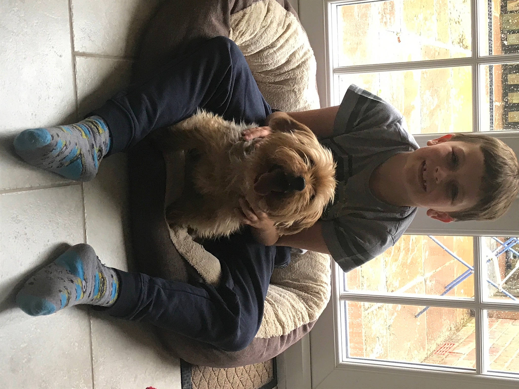 Brandy joined the competition — help win amazing prizes! child, comfort, elbow, flooring, fun, fur, gesture, human_leg, joint, knee, pattern, photograph, photography, room, sitting, thigh, tree, window