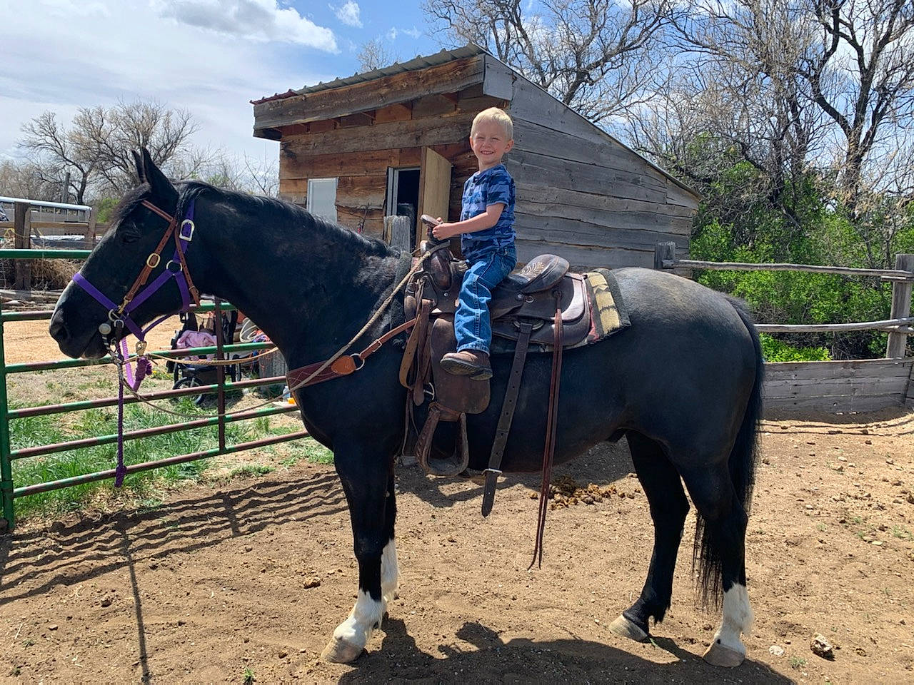 Mayson is registered to the contest to win money with this photo: animal_sports, bridle, equestrianism, halter, horse, horse_supplies, horse_tack, joy, mammal, mane, mare, pack_animal, person, ranch, recreation, rein, riding_instructor, saddle, stallion, vertebrate