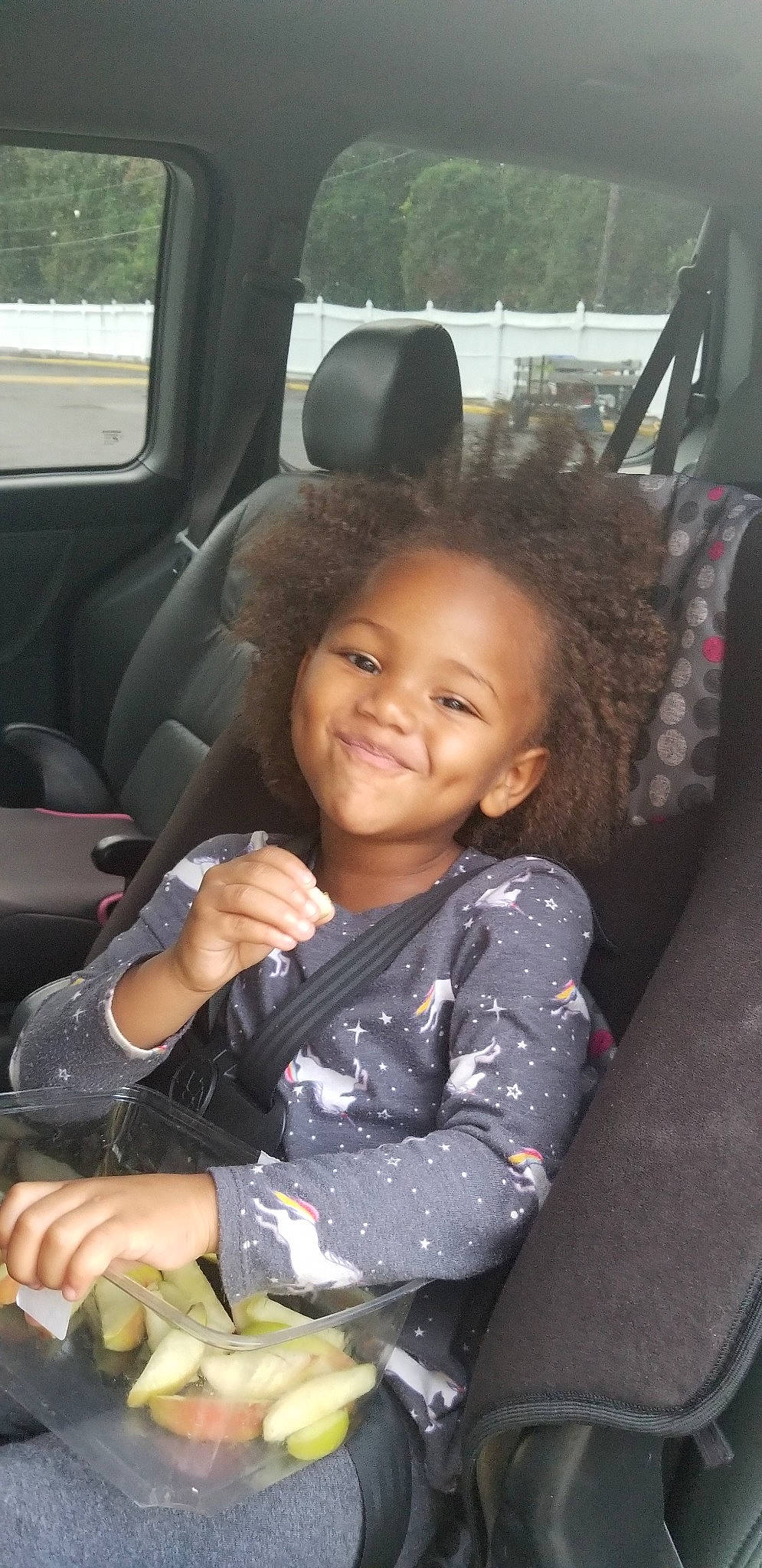 Honesty is registered to the contest to win money with this photo: auto_part, black_hair, car, car_seat, car_seat_cover, child, family_car, gesture, joy, person, plant, vehicle, vehicle_door