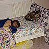 Sissy is registered to the contest to win money with this photo: baby, sleeping, cat, tabby, bed, blanket, sheet, floor, wall, power_outlet, indoor, child, resting, furniture, quiet, calm, patterned, colorful, domestic, cozy
