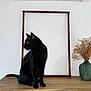 black_cat, cat, wooden_table, empty_frame, green_vase, dried_flowers, indoor, curious, pet, animal, feline, decor, minimalist, side_view, sitting, ears, tail, yellow_eyes, domestic_cat, houseplant