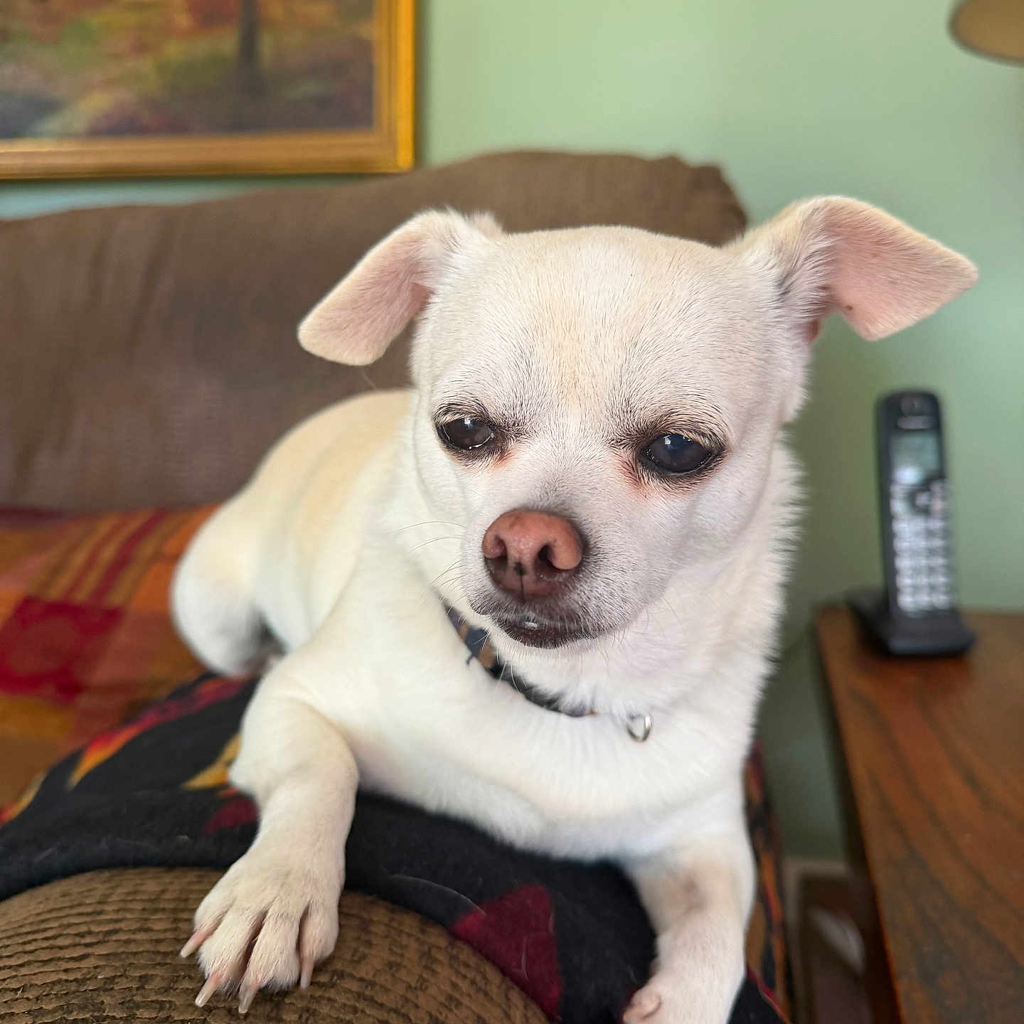 Toby Joe