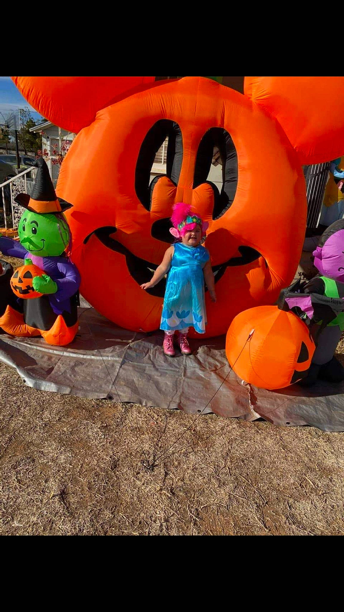 Mackenzie is registered to the contest to win money with this photo: art, calabaza, child, city, fun, gourd, happy, headwear, inflatable, leisure, orange, person, play, pumpkin, purple, recreation, smile, toddler, tree, vacation