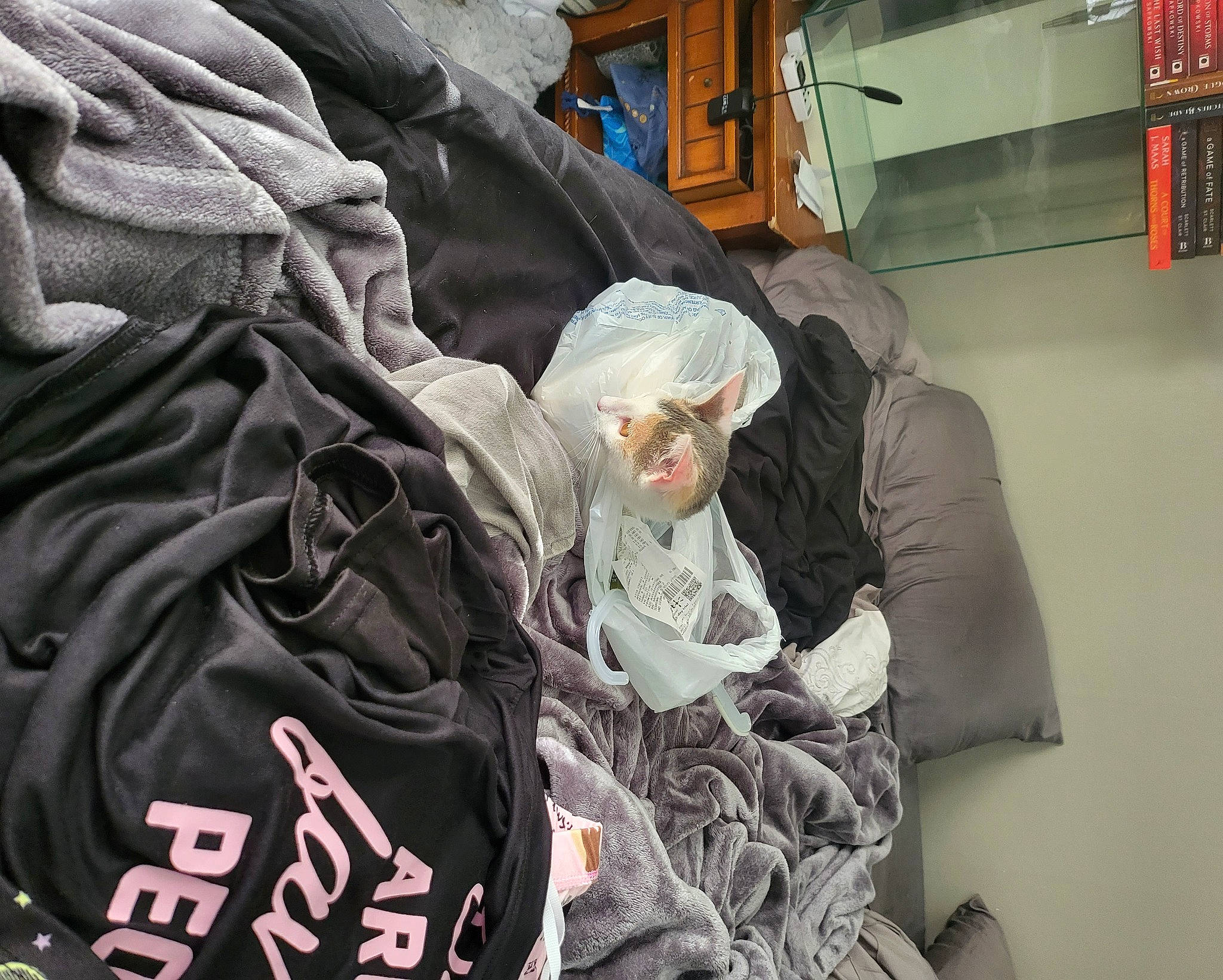 Penelope joined the competition — help win amazing prizes! automotive_design, backpack, bag, baggage, carmine, comfort, font, grey, hat, hoodie, luggage_and_bags, personal_protective_equipment, room, sitting, sleeve, street, t_shirt