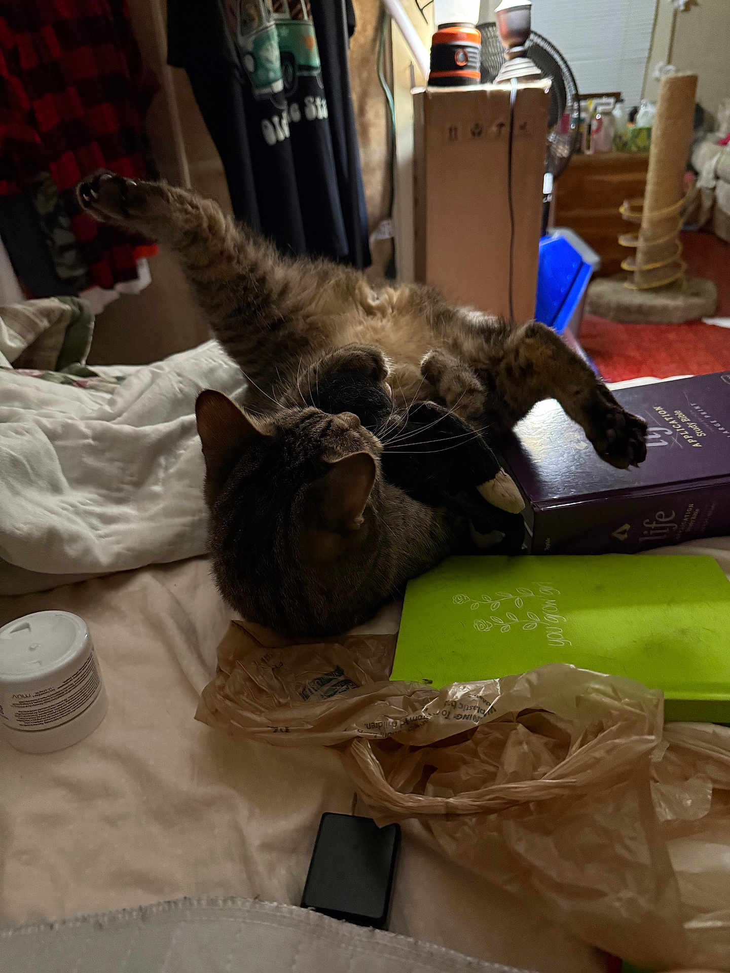 Tiggy
