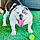 Miss Dolly