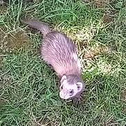 Zebulonz participe au concours pour gagner de l'argent avec cette photo :