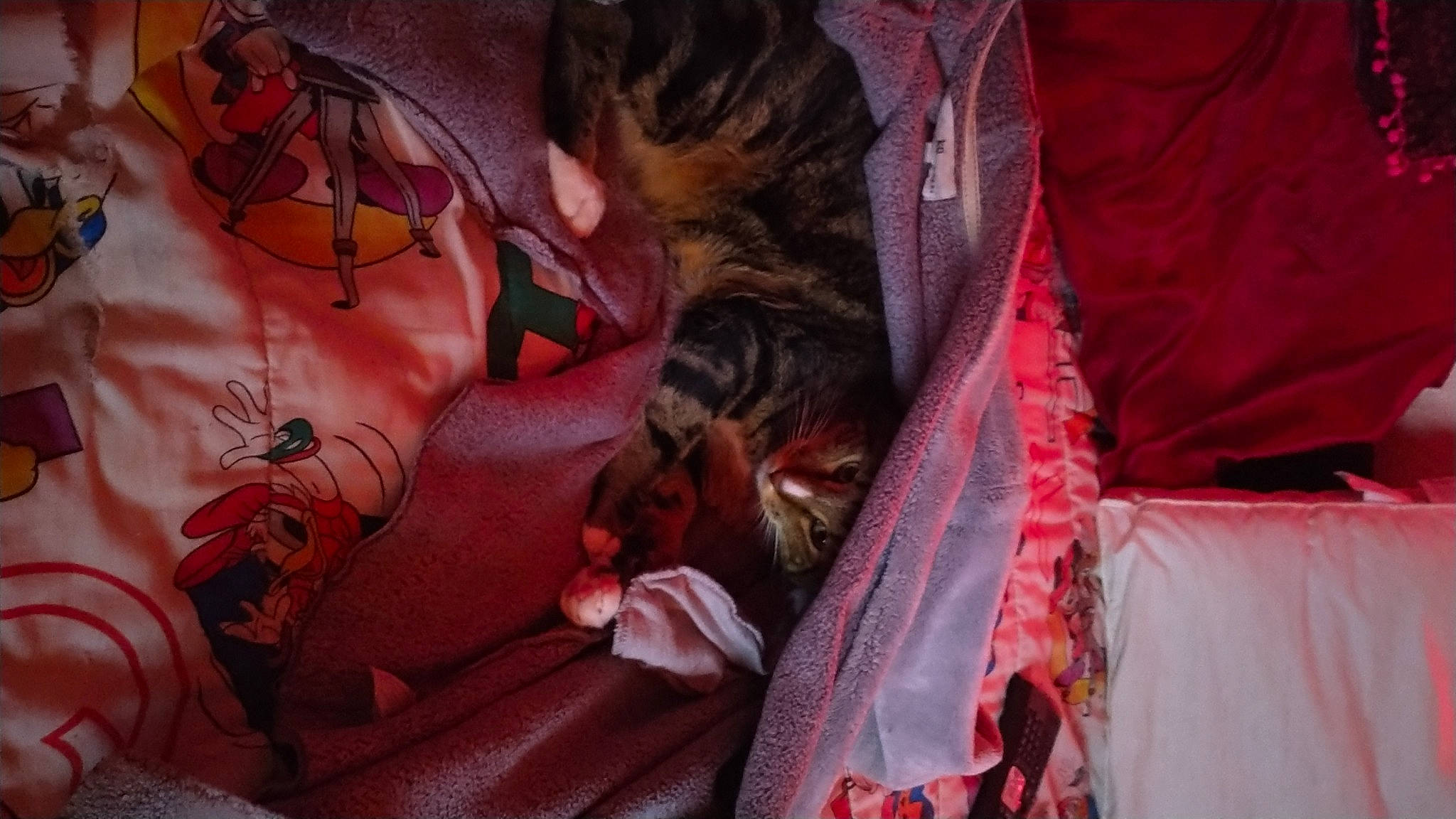 Tigger joined the competition — help win amazing prizes! carnivore, cg_artwork, comfort, event, fawn, felidae, fiction, flesh, fur, house, human_leg, linens, magenta, pattern, pink, room, small_to_medium_sized_cats, tattoo, tattoo_artist, whiskers