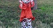 Kodi Sue is registered to the contest to win money with this photo: toddler, child, smiling, outdoor, grass, tree, wooden_fence, dress, patterned_pants, bow, happy, clapping, person, nature, daylight, greenery, playful, young, fashion, portrait