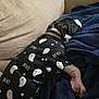 dog, puppy, sleeping, blanket, couch, clothing, black_and_white, ghost_pattern, costume, nap, cozy, indoor, fur, pet, relaxing, cute, snuggling, fabric, resting, collar