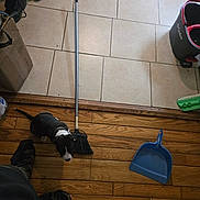 Romeo joined the competition — help win amazing prizes! puppy, dog, broom, dustpan, wood_floor, tile_floor, household, indoor, black_and_white, pet, flooring, cleaning_tools, box, boot, person_feet, shadow, collar, domestic, small_dog, floor