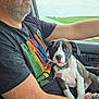 man, puppy, dog, car, driving, window, landscape, greenery, seat, tshirt, collar, pet, animal, road_trip, portrait, casual, inside_car, human, holding, cute