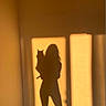 Kiwi joined the competition — help win amazing prizes! shadow, silhouette, cat, person, wall, sunlight, indoor, golden_hour, holding, pet, companion, shadow_play, warm_tone, evening_light, quiet_moment, animal, human, soft_light, minimalist, artistic