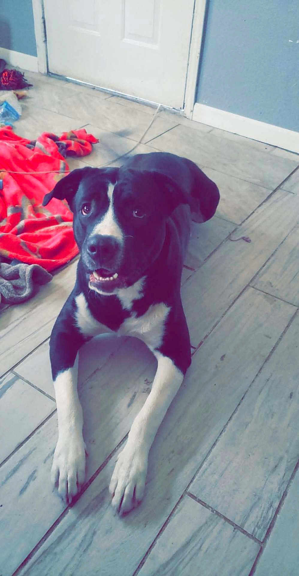 George