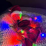Angelo is registered to the contest to win money with this photo: baby, sleeping, christmas_lights, santa_hat, blanket, holiday, festive, red_clothing, infant, cozy, indoors, soft_texture, colorful_lights, toddler, cute, holiday_season, wrapped, night, peaceful, celebration