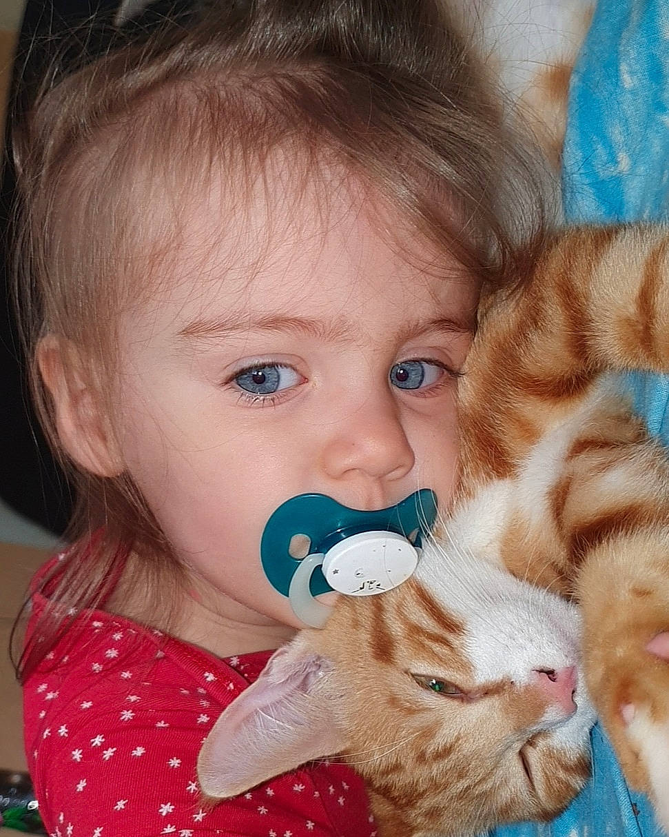 Anaïya participe au concours pour gagner de l'argent avec cette photo : baby, baby_toddler_clothing, carnivore, cat, cheek, ear, eyelash, face, fawn, felidae, finger, happy, human, iris, lip, mouth, nose, organ, person, skin