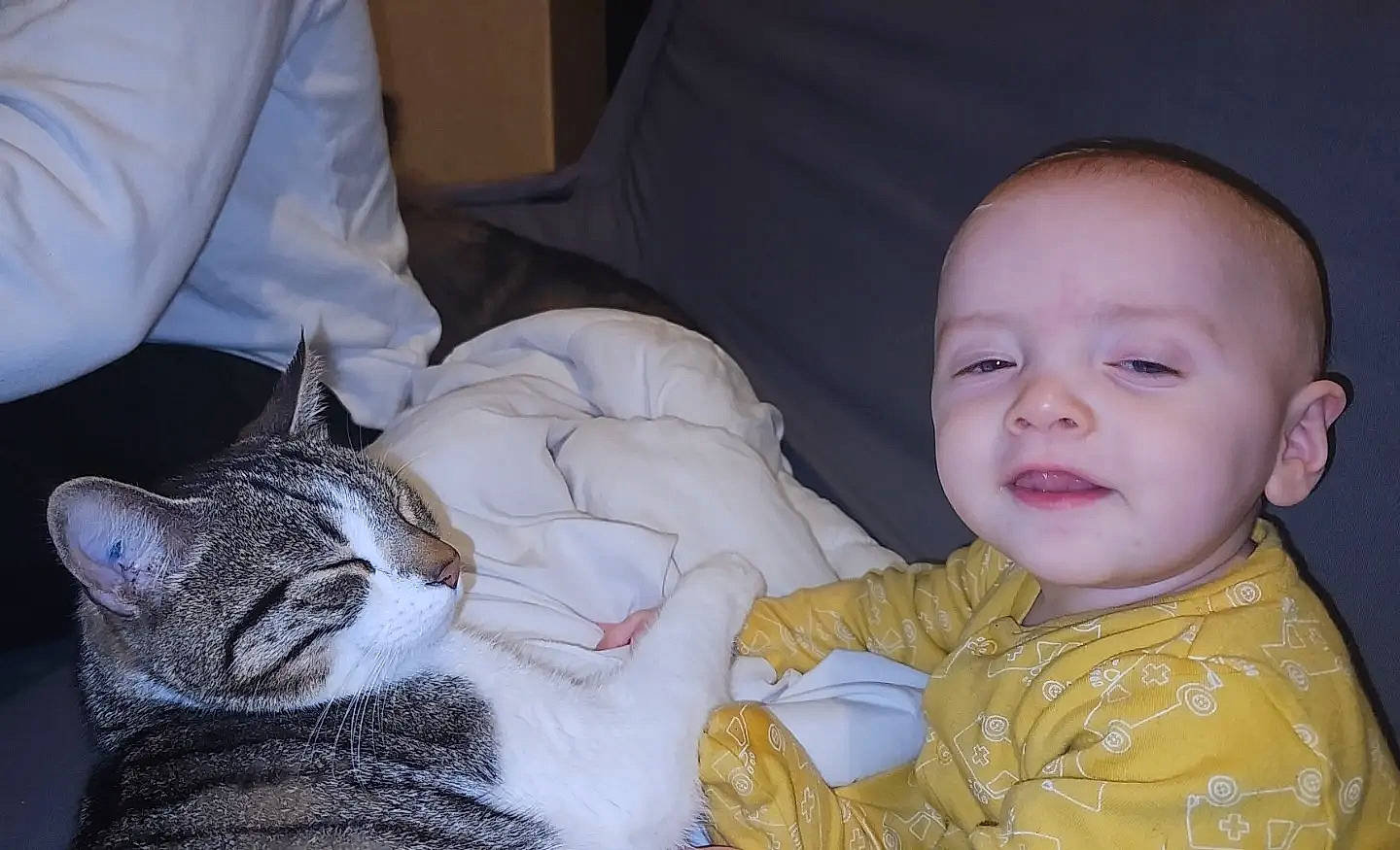 Kélyo a rejoint le concours — aidez-le/la à gagner de superbes lots ! baby, baby_toddler_clothing, carnivore, cat, cheek, comfort, couch, domestic_short_haired_cat, ear, felidae, fur, happy, iris, nose, person, sitting, small_to_medium_sized_cats, smile, snout, toddler