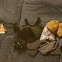black_cat, cat, pet, indoor, couch, furniture, slippers, pillow, clothing, book, relaxing, home, cozy, animal, fur, eyes, laying_down, upside_down, domestic, living_room