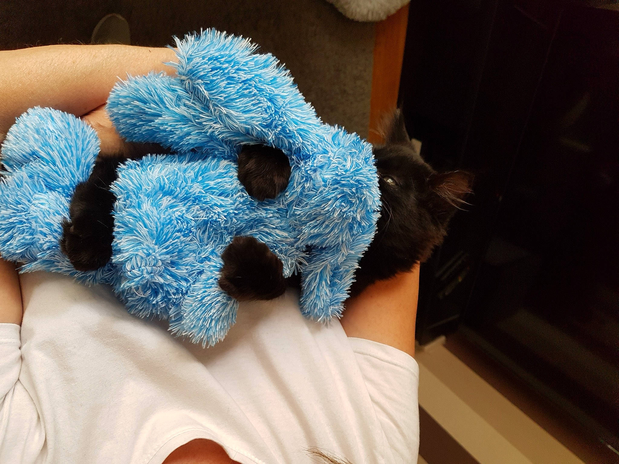 Bear joined the competition — help win amazing prizes! art, craft, crochet, electric_blue, fashion_accessory, feather, fur, glove, headgear, human_leg, jewellery, linens, nail, natural_material, pattern, plush, stuffed_toy, thread, wool, wrist