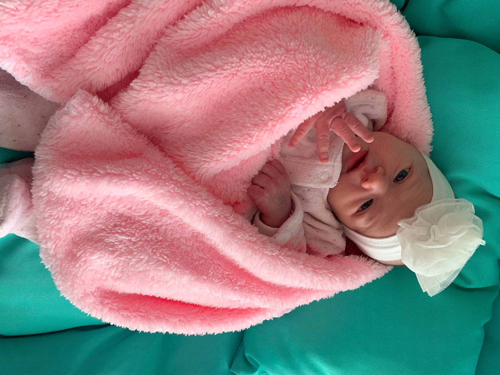 Thaïs participe au concours pour gagner de l'argent avec cette photo : baby, blanket, cheek, child, close_up, flower, hand, headwear, linens, person, petal, pink, plant, sleep, smile, textile, toddler