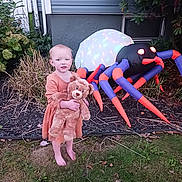 Riley Rose is registered to the contest to win money with this photo: child, toddler, barefoot, teddy_bear, orange_dress, grass, garden, inflatable_spider, decorations, house, plants, shrubbery, fall_leaves, outdoor, cute, toy, lighting, window, hedge, yard