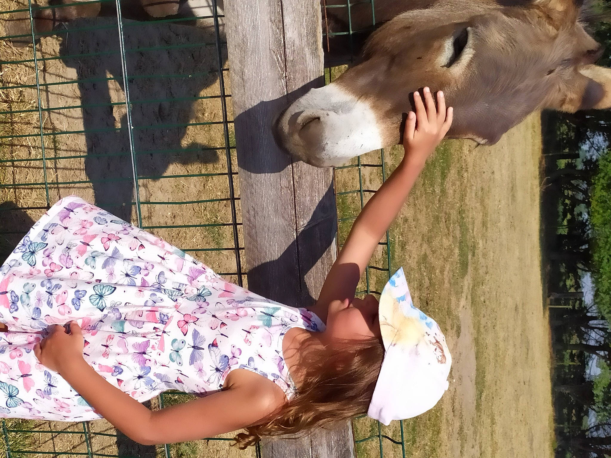 Sherazade participe au concours pour gagner de l'argent avec cette photo : adaptation, ear, fawn, person, zoo
