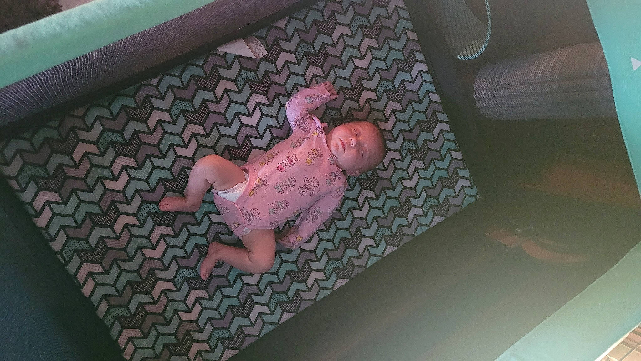 Hailee is registered to the contest to win money with this photo: art, baby, baby_products, baby_toddler_clothing, child, comfort, domestic_pig, fawn, flesh, floor, flooring, foot, linens, nail, pattern, person, room, suidae, toddler, toy