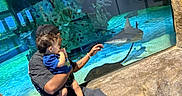 Kayden joined the competition — help win amazing prizes! adult, aquarium, blue, casual_clothing, child, curious, exhibit, fish, glass, hand, holding, indoor, marine_life, people, reflection, rocks, shark, swimming, tank, water