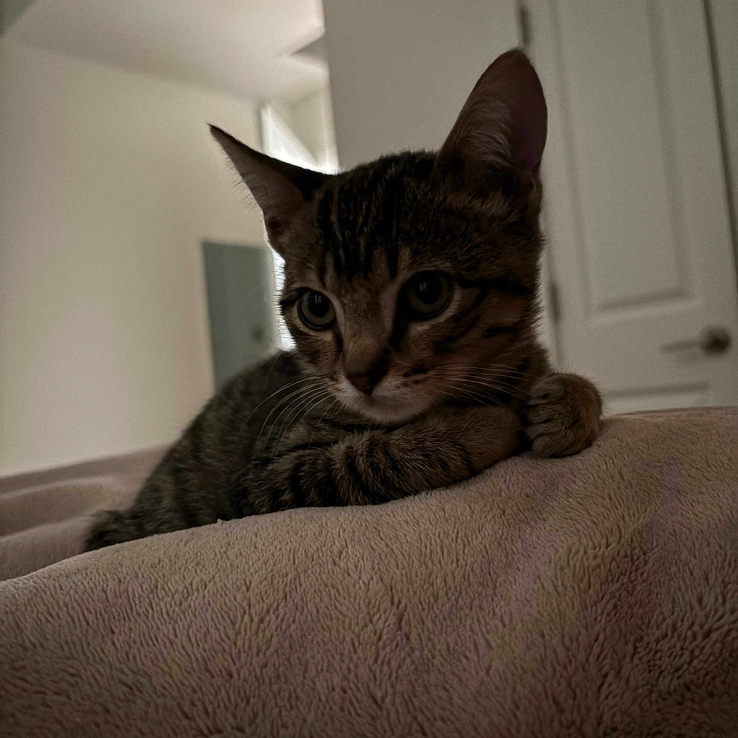 Meep