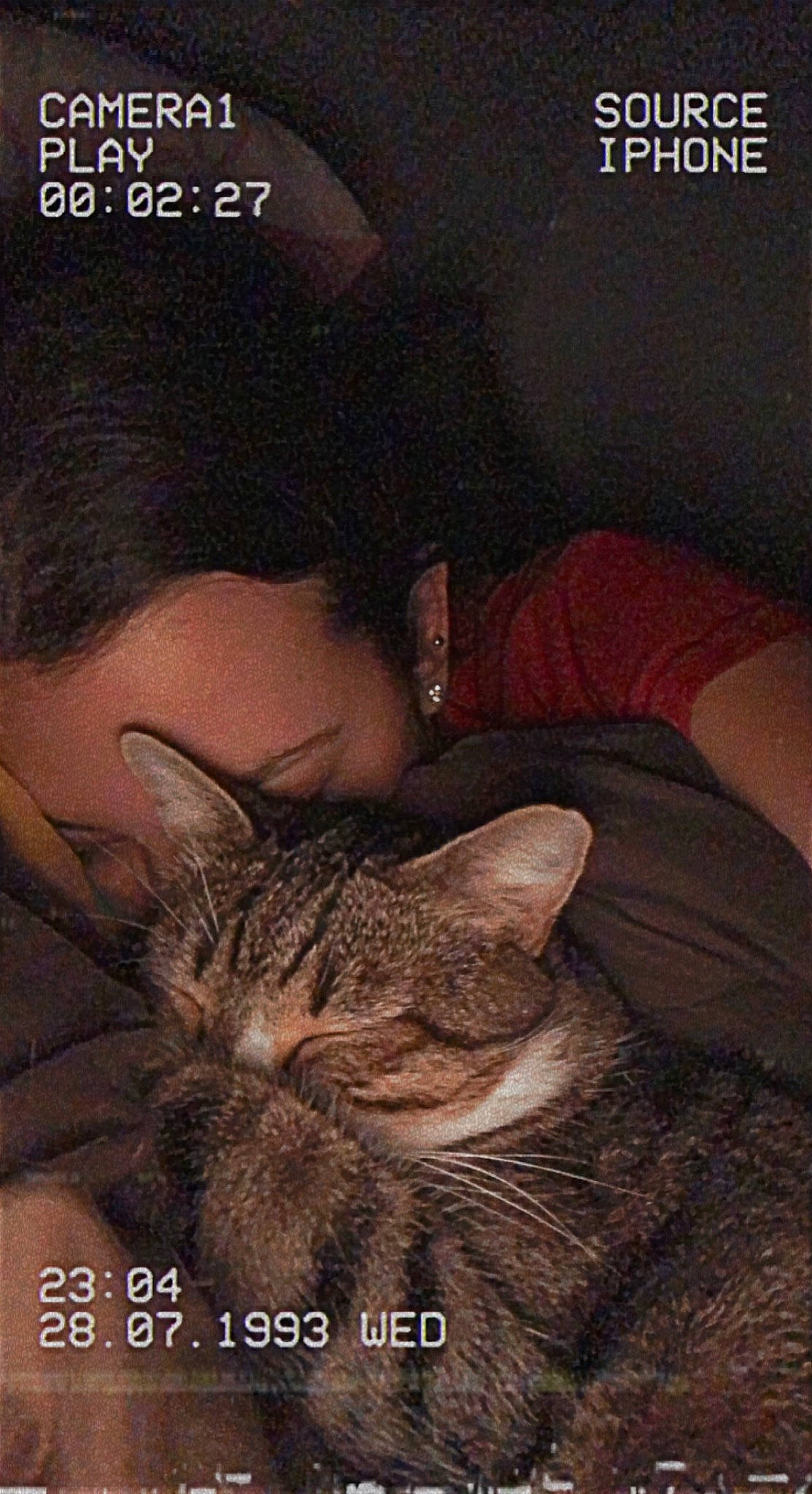 Nala a rejoint le concours — aidez-le/la à gagner de superbes lots ! carnivore, cat, comfort, domestic_short_haired_cat, ear, felidae, flesh, font, fur, happy, hat, love, mammal, nap, photo_caption, small_to_medium_sized_cats, tail, vintage_clothing, whiskers