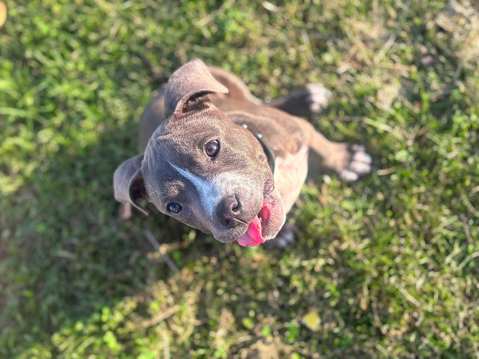 Cash