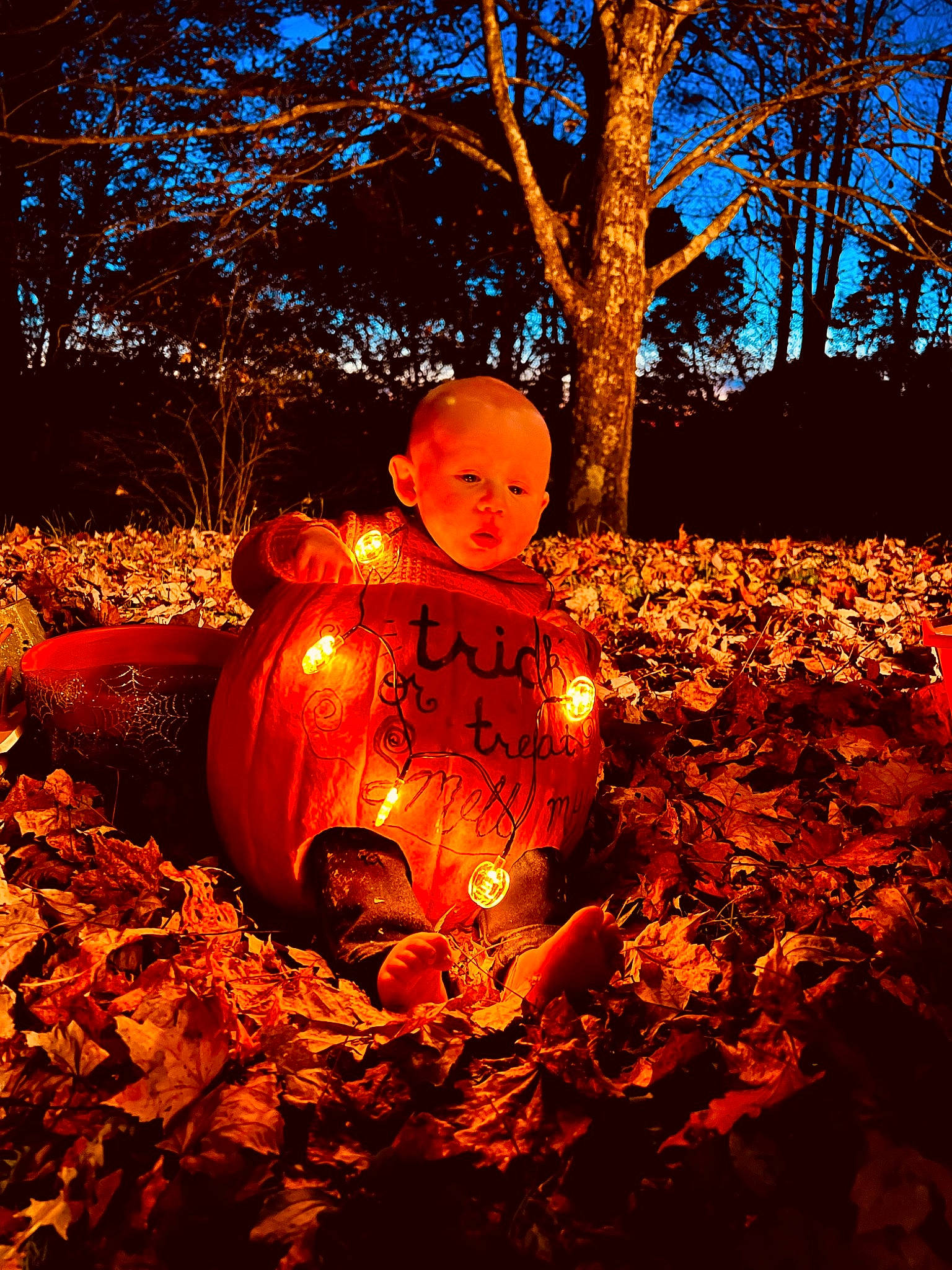 Harlan is registered to the contest to win money with this photo: art, calabaza, creative_arts, cucurbita, deciduous, gourd, grass, happy, heat, jack_o_lantern, orange, people_in_nature, person, plant, pumpkin, squash, tints_and_shades, tree, trunk, vegetable