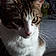 Charlie