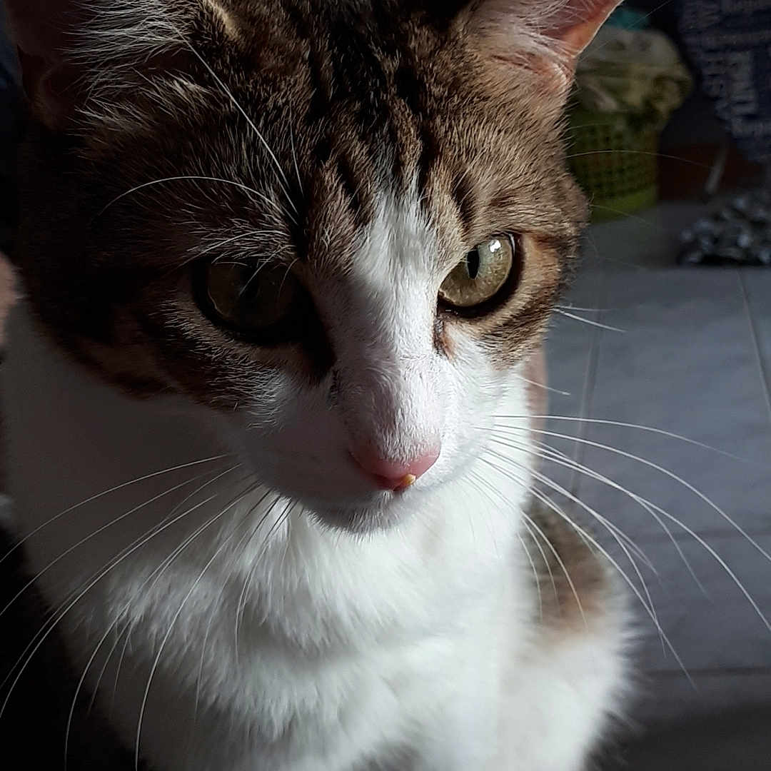 Charlie