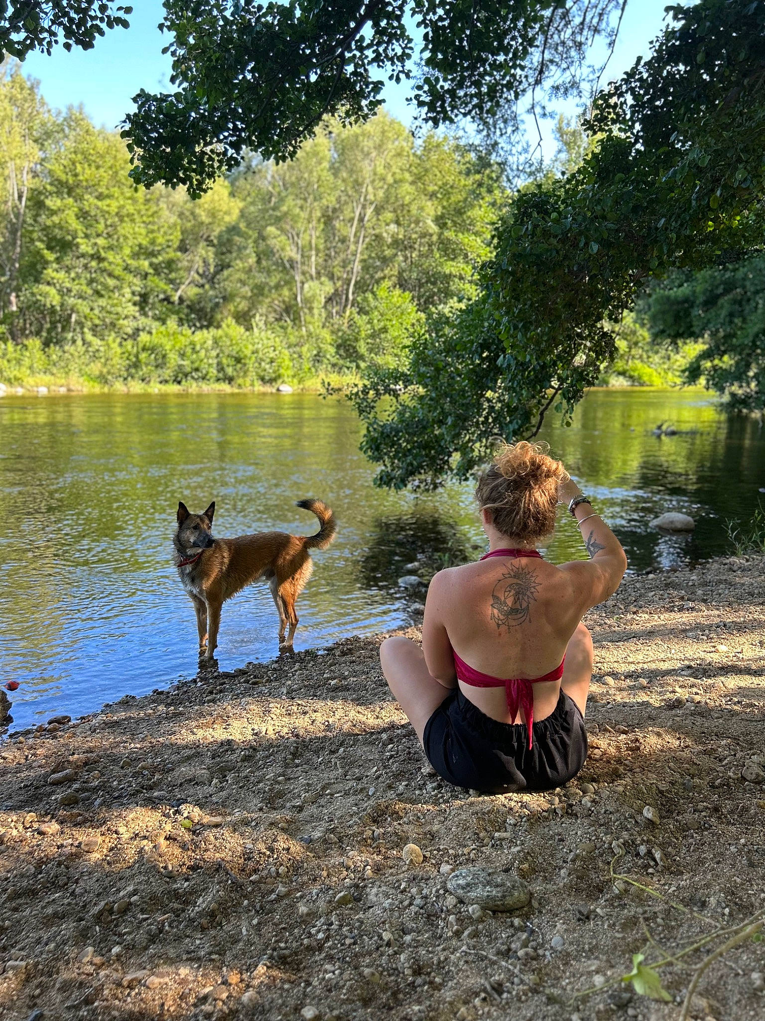 Link a rejoint le concours — aidez-le/la à gagner de superbes lots ! bank, carnivore, companion_dog, dog, dog_breed, fawn, forest, grass, happy, lake, landscape, leisure, natural_landscape, people_in_nature, plant, recreation, sky, tree, water, woodland
