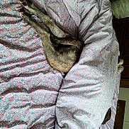 Tabby joined the competition — help win amazing prizes! art, hand, jacket, outerwear, sleeve, textile