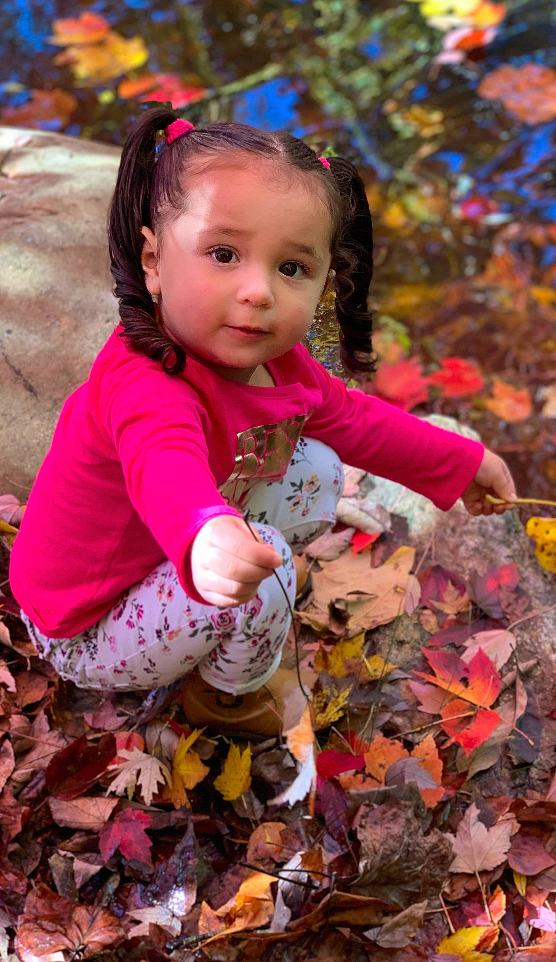Iliana is registered to the contest to win money with this photo: adaptation, autumn, baby, cheek, child, child_model, fawn, flower, fun, happy, leaf, person, photography, pink, plant, play, smile, toddler, tree