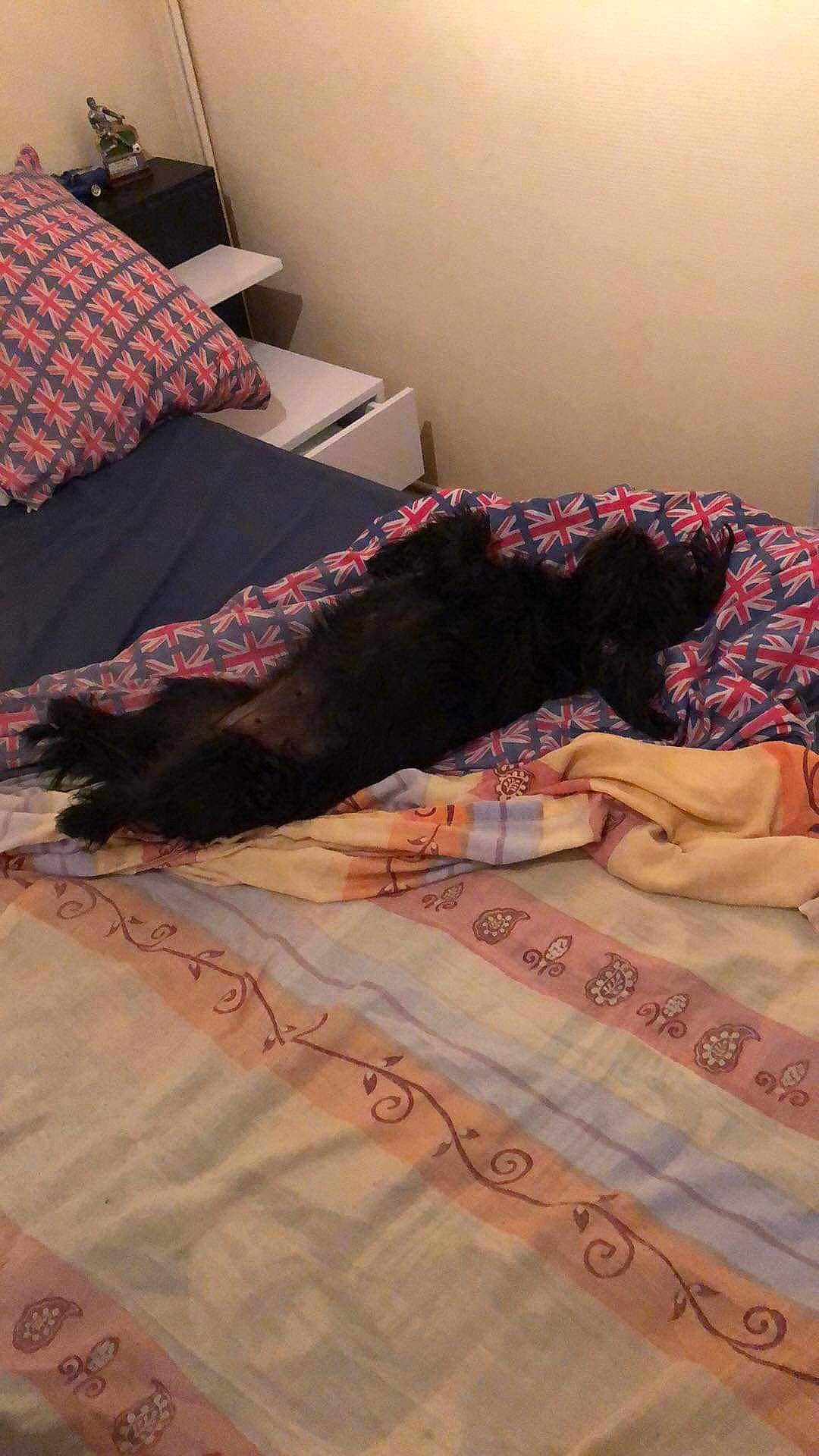 Naïa a rejoint le concours — aidez-le/la à gagner de superbes lots ! art, bed, bed_sheet, bedding, bedroom, carpet, comfort, floor, flooring, hardwood, human_leg, linens, magenta, pattern, plaid, rectangle, room, tints_and_shades, wall, wood