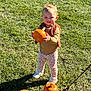 child, toddler, pumpkin, grass, outdoor, smiling, autumn, fall, clothing, vest, pants, shoes, person, nature, sunlight, harvest, cute, seasonal, greenery, holding