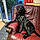 Buddy