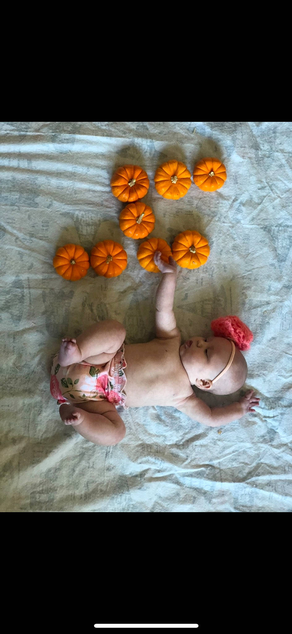 Emeri joined the competition — help win amazing prizes! abdomen, art, fawn, foot, hand, headgear, human_body, human_leg, illustration, insect, jewellery, leg, moths_and_butterflies, navel, person, plant, textile, tree, trunk, wood