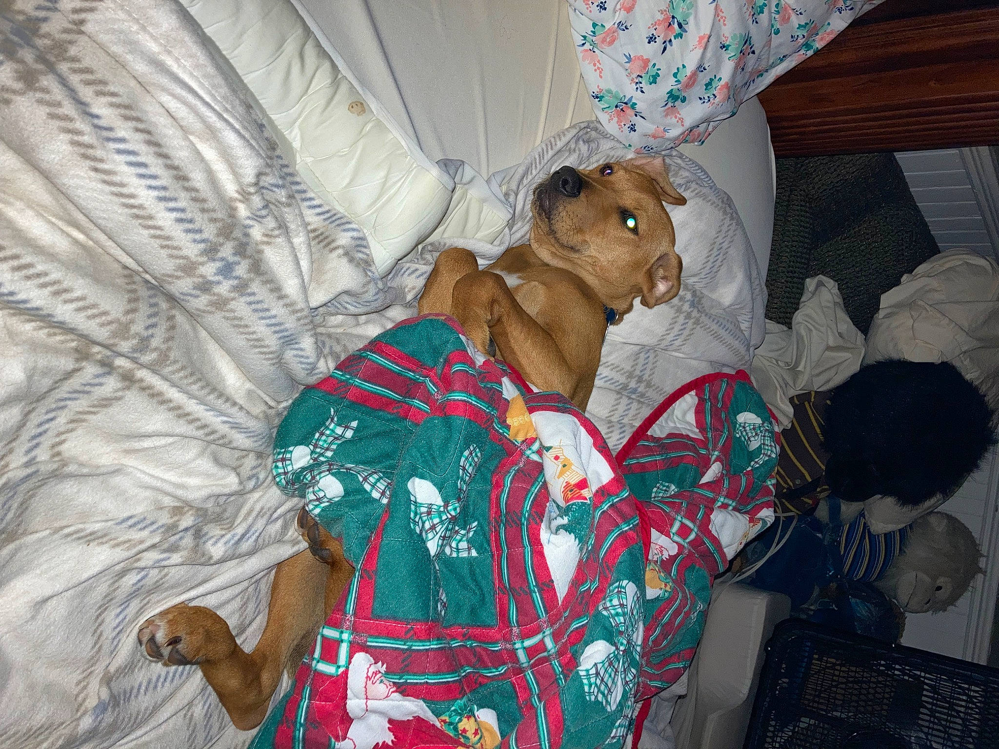 Astro joined the competition — help win amazing prizes! bedding, child, comfort, curtain, event, fashion_design, flesh, fun, happy, leisure, linens, pattern, room, sari, sitting, t_shirt, temple, textile, tradition, visual_arts