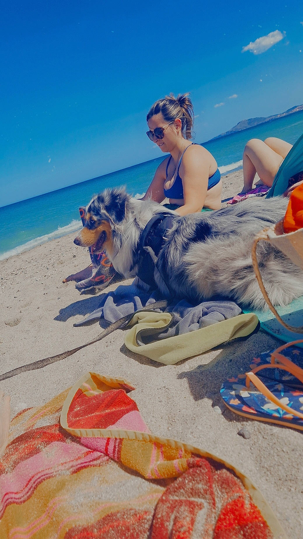 Sheyko a rejoint le concours — aidez-le/la à gagner de superbes lots ! art, beach, body_of_water, brassiere, cloud, dog, event, fun, happy, holiday, horizon, landscape, leisure, people_on_beach, recreation, sand, sky, sun_tanning, travel, water